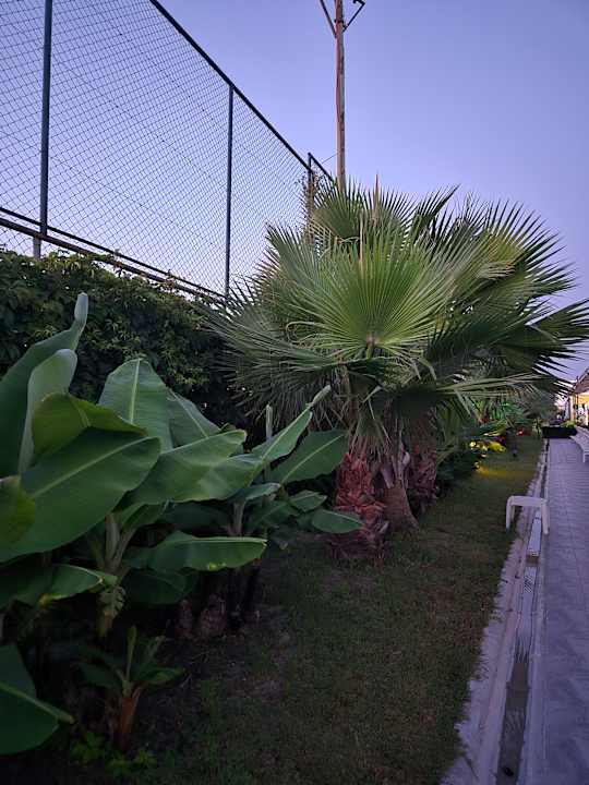 Gartenanlage Dream Water World