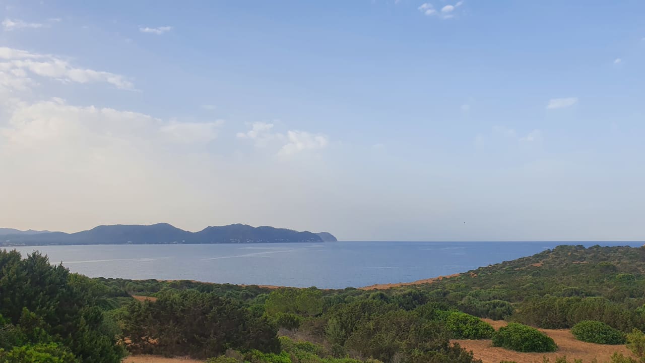 Ausblick Globales Bouganvilla