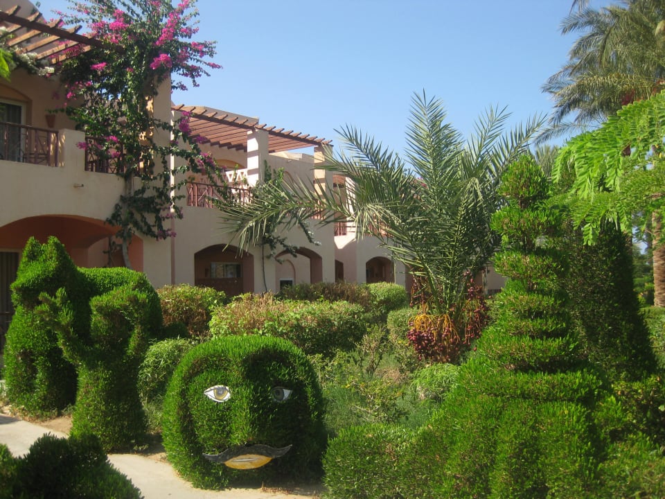 Urlaub Jaz Makadi Oasis Resort