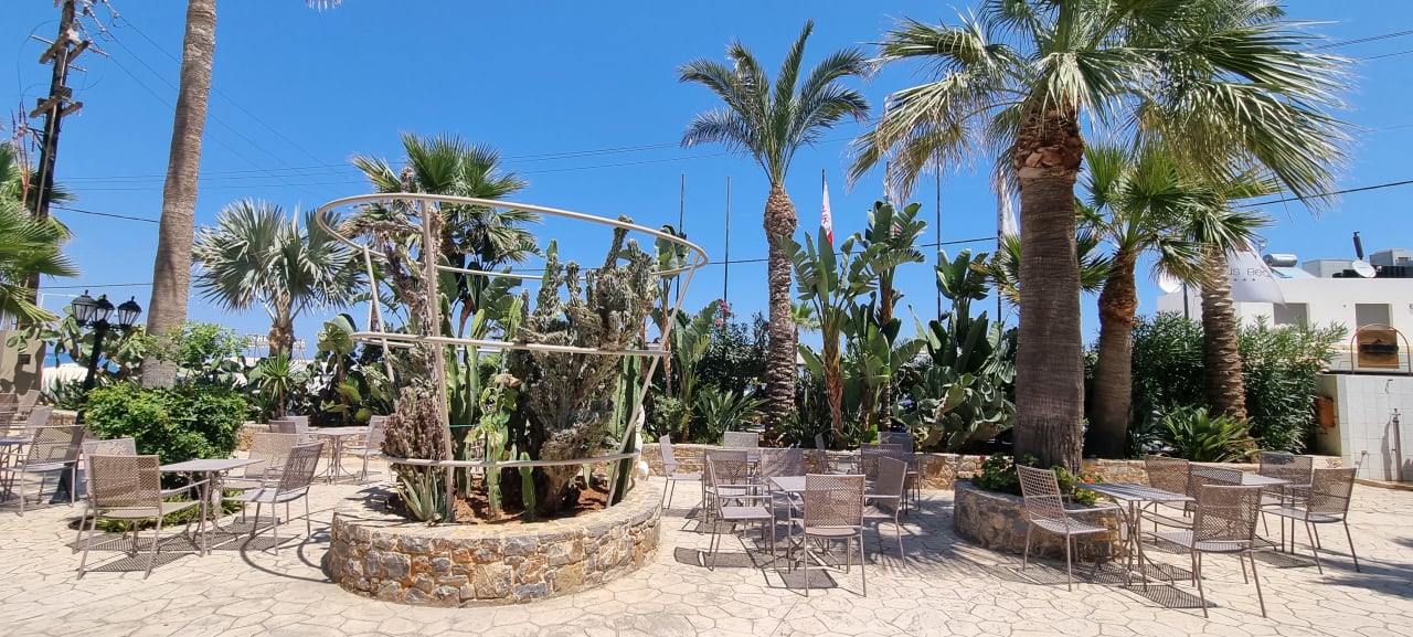 Gartenanlage Cactus Beach