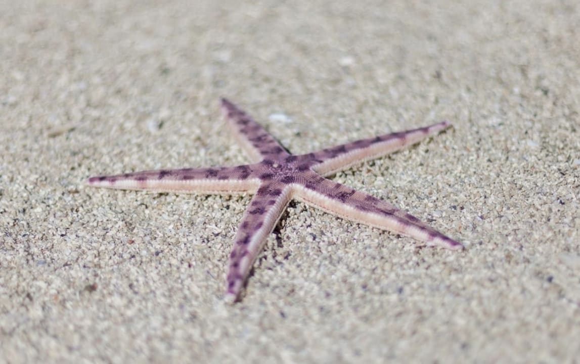 Strand Victoria Beachcomber Resort & Spa