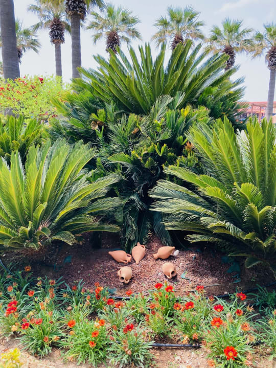 Gartenanlage Megasaray Club Belek