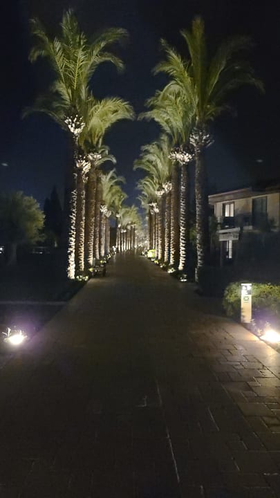 Außenansicht TUI BLUE Palm Garden