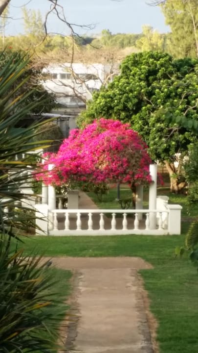 Französischer Garten Sofitel Imperial Resort & Spa