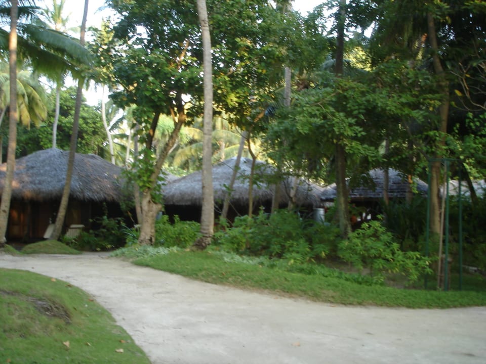 Beachbungalows Kuramathi Maldives