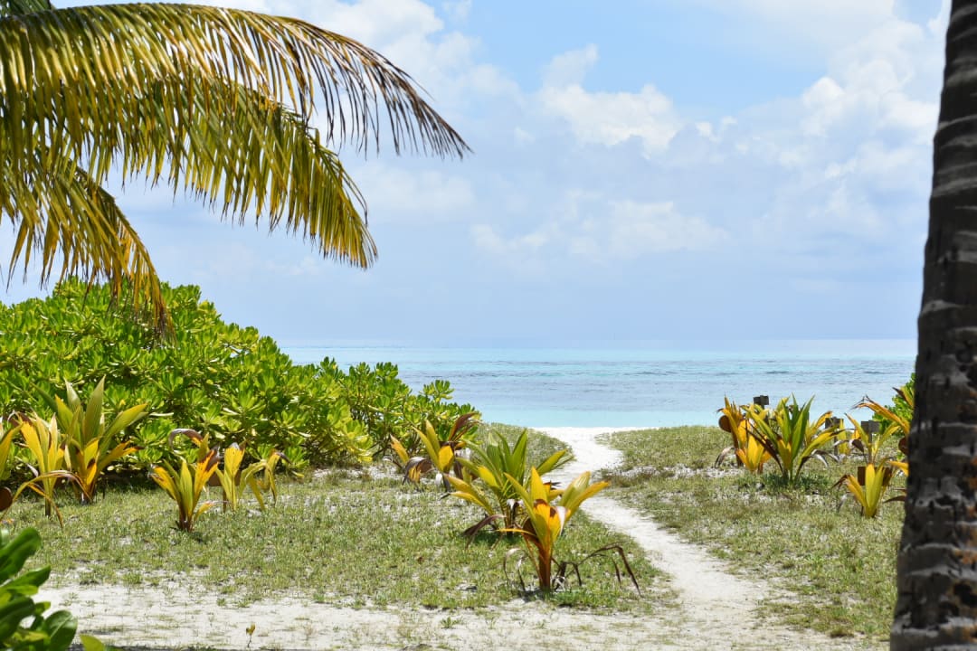 Strand Meeru Maldives Resort Island