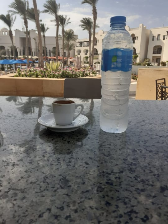 Gastro Pickalbatros Palace Hotel-Port Ghalib