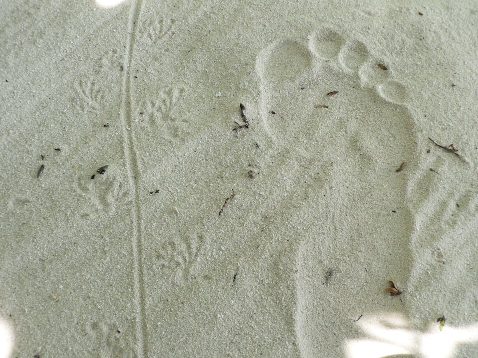 Spuren Embudu Village