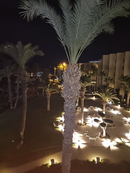 Gartenanlage Hotel Marhaba Club