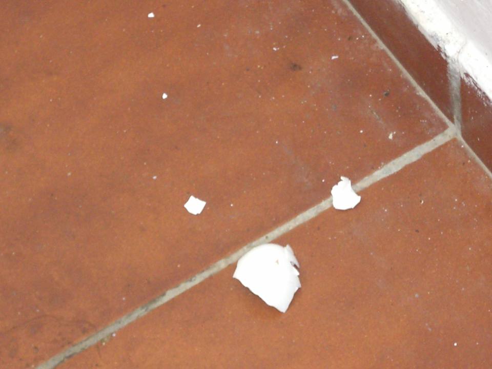 Eierschalen Petunya Beach Resort