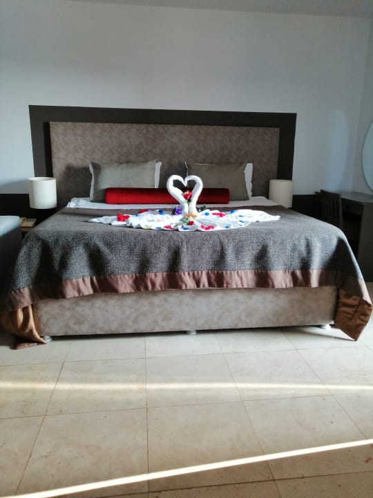 Zimmer PALOMA Perissia