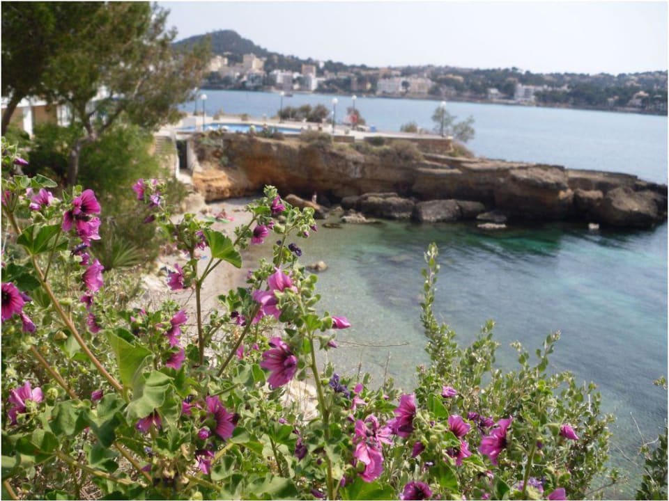 Die kleine Bucht vor dem Hotel Hotel Jardin del Mar