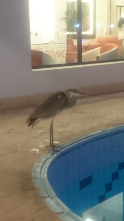 Sonstiges Fantazia Resort Marsa Alam