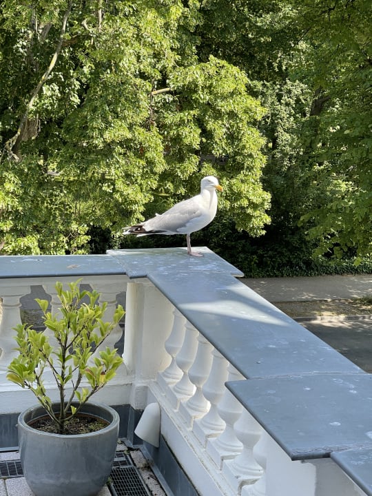 Ausblick KurparkHotel Warnemünde