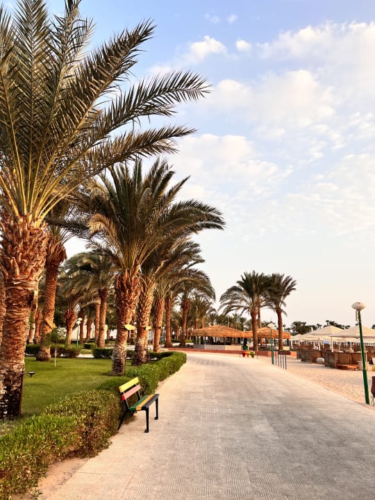 Strand Menaville Safaga