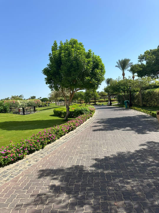 Außenansicht Steigenberger Aqua Magic