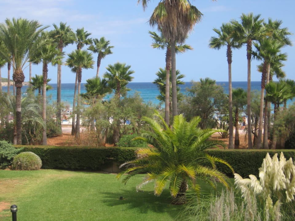 Blick vom Balkon unseres Appartements Hipotels Mediterraneo Club