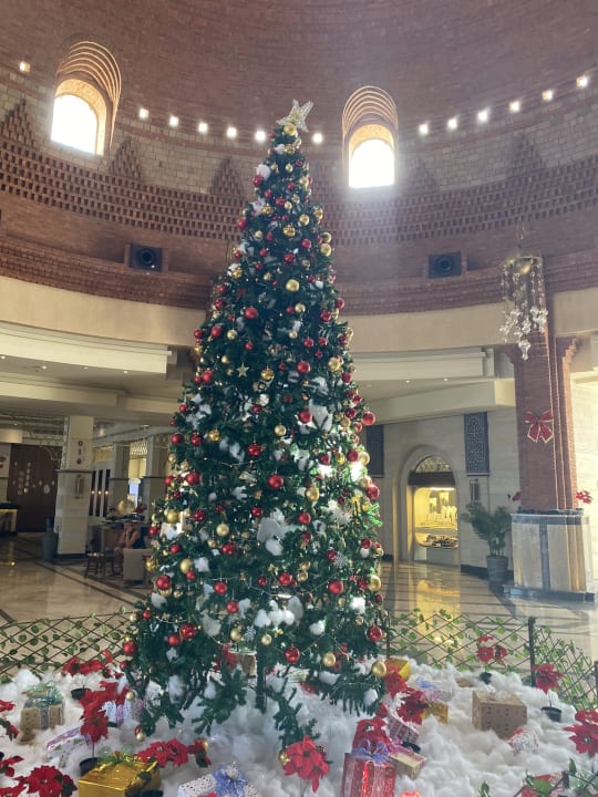 Lobby Lazuli Hotel Marsa Alam