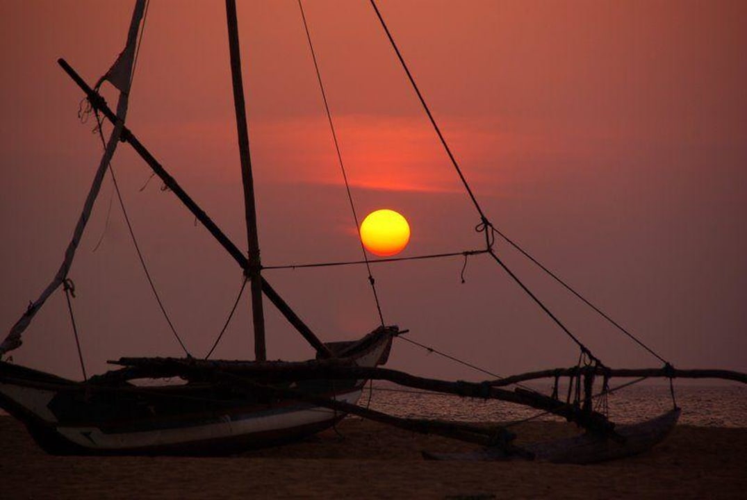 Sonnenuntergang am Strand des"Goldi Sands" Goldi Sands Hotel
