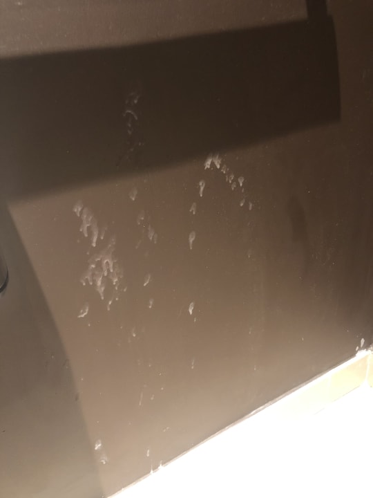 Sonstiges Lopesan Costa Bávaro Resort, Spa & Casino