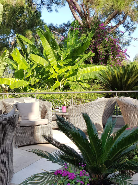 Bar mit schönem Aussenbereich Balmy Foresta