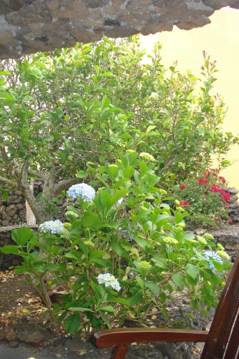 Gartenanlage Casa Rural Aborigen Bimbache