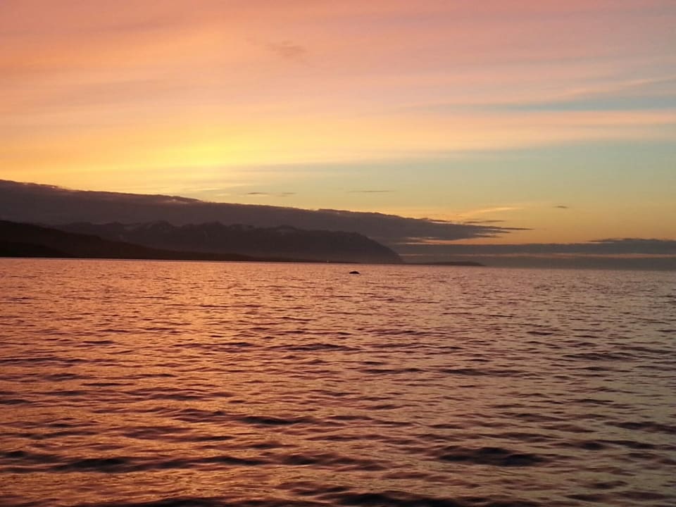 Ausblick alltoura Club Hotel Poseidon Palace