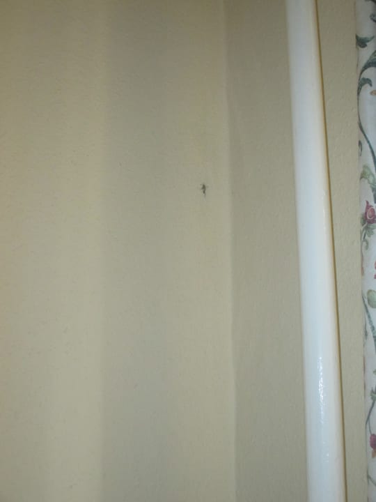 Zimmer Hotel Graf Stadion