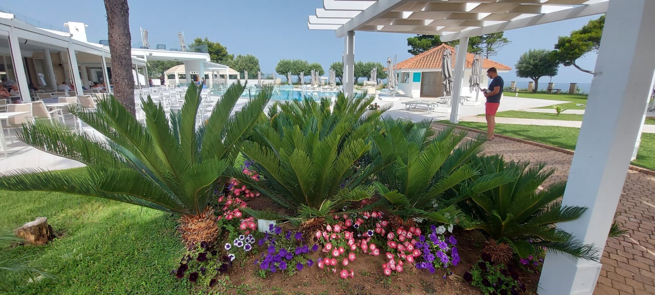 Pool TUI BLUE Tropea