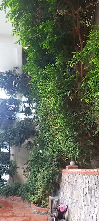 Lobby Hotel Pine Bay Holiday Resort