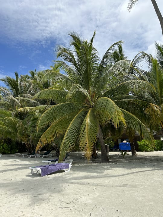 Strand Meeru Maldives Resort Island