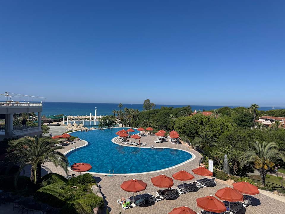 Pool Starlight Resort Hotel