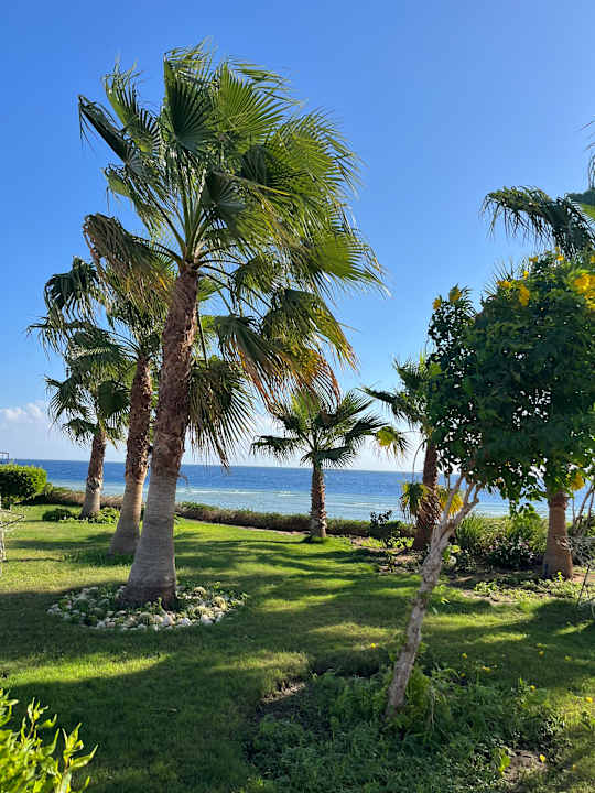 Gartenanlage Three Corners Equinox Beach Resort