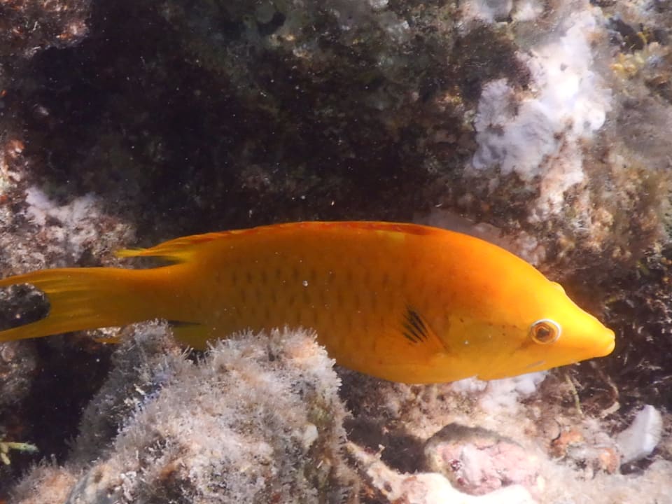 Sport & Freizeit Utopia Beach Club