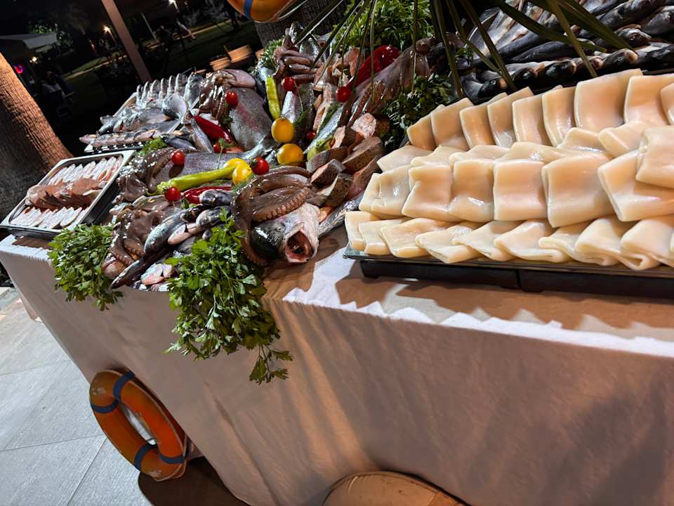 Gastro Asteria Collection Side