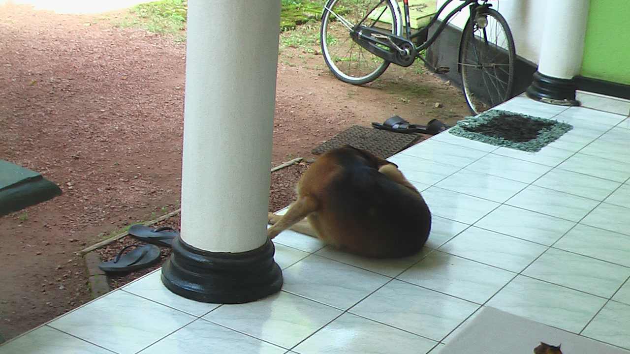 Außenansicht Sunshine Guesthouse