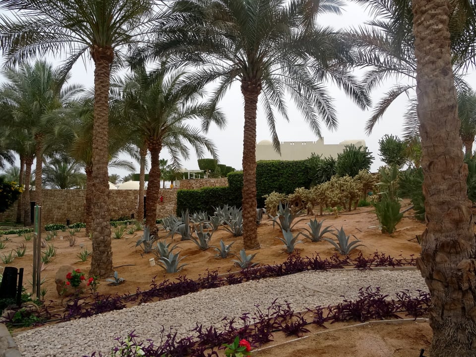 Gartenanlage SENTIDO Reef Oasis Resort