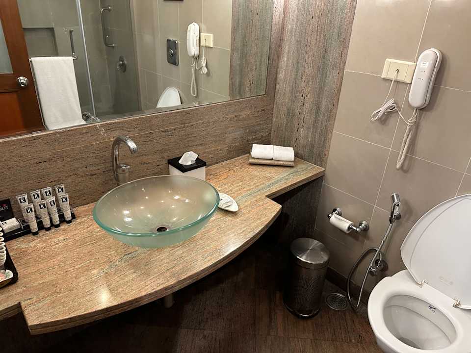 Zimmer Hotel The Lalit Ashok Bangalore
