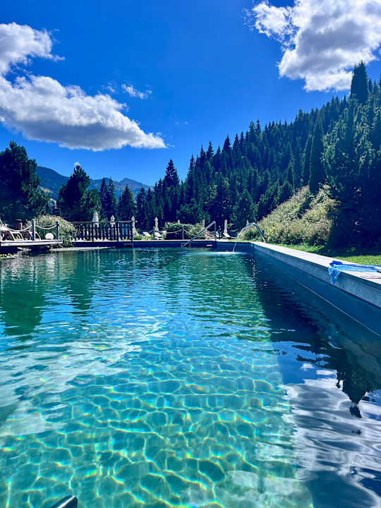 Pool Almdorf Reiteralm & Almhotel Edelweiss