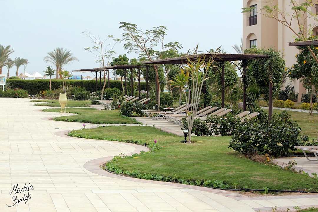 Przy basenie JAZ Aquamarine Resort