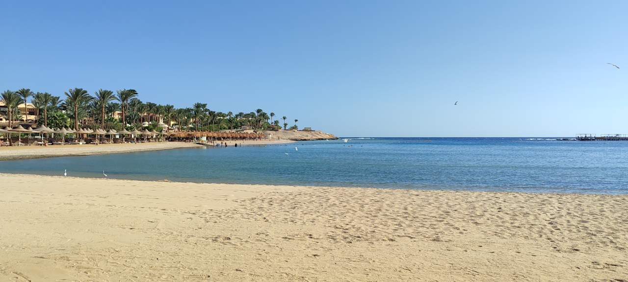 Strand Steigenberger Resort Alaya Marsa Alam - Red Sea - Adults only