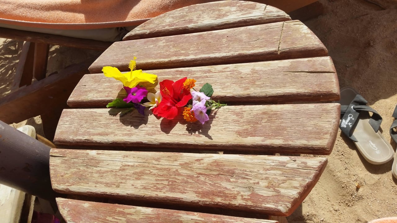 Überraschung von Ahmed Makadi Spa - Adults only