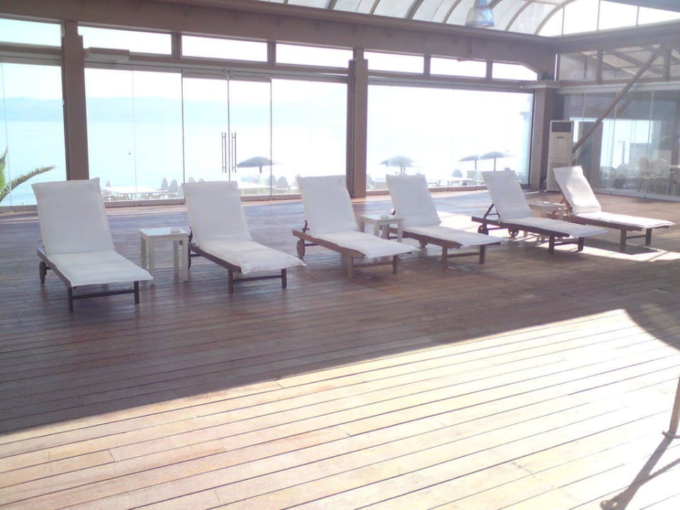 Liegen im Poolbereich Hotel Blue Pearl