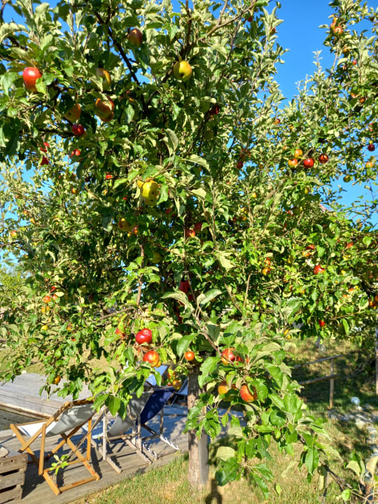 Ausblick ApartHotel Fugger Alm