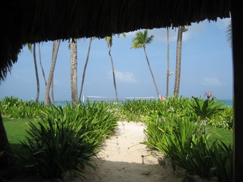 Ausblick beim Mittagessen Grand Palladium Select Bávaro Resort & Spa