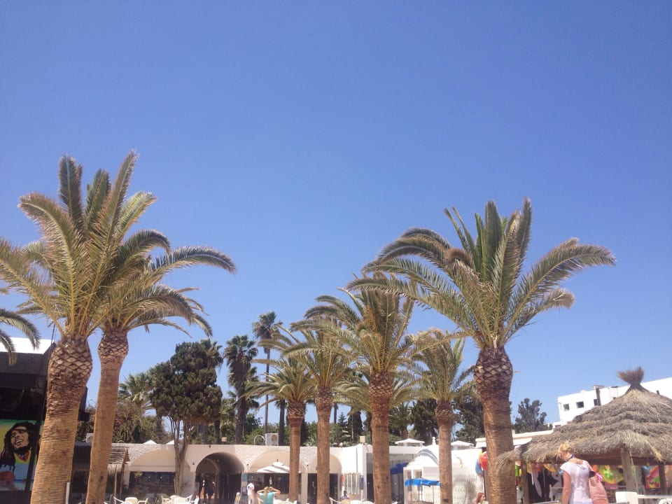 So schön  Samira Club