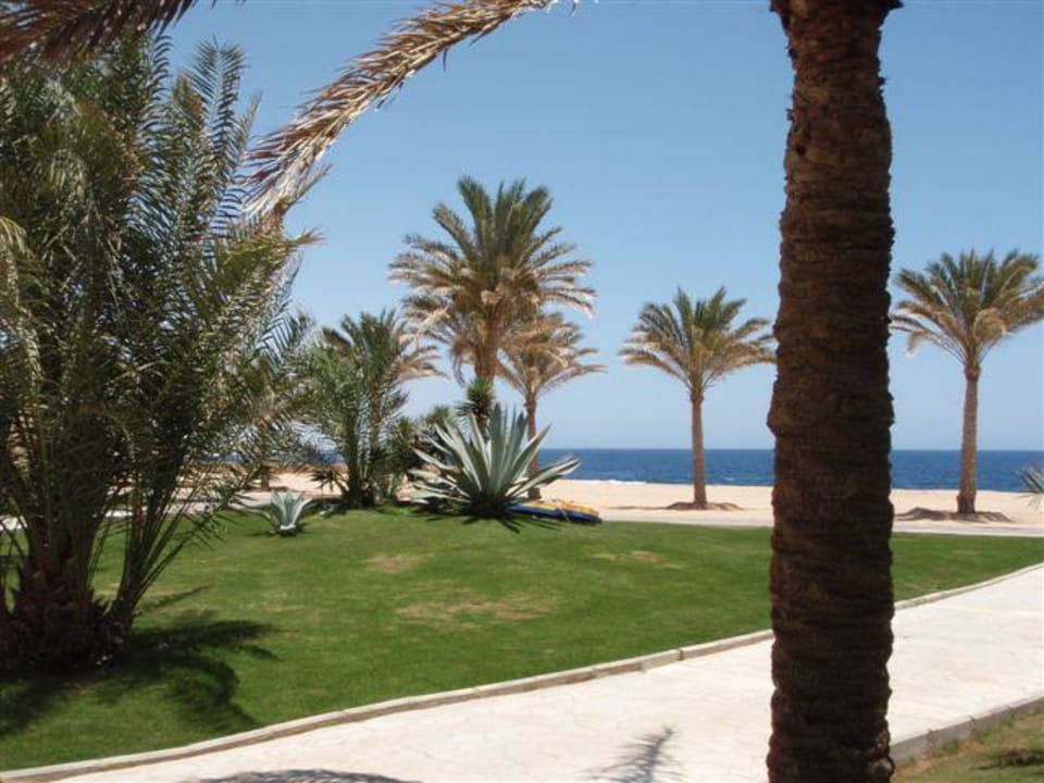 Zimmeraussicht Steigenberger Coraya Beach - Adults only