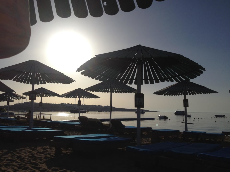 Strand am Morgen früh Ghazala Beach