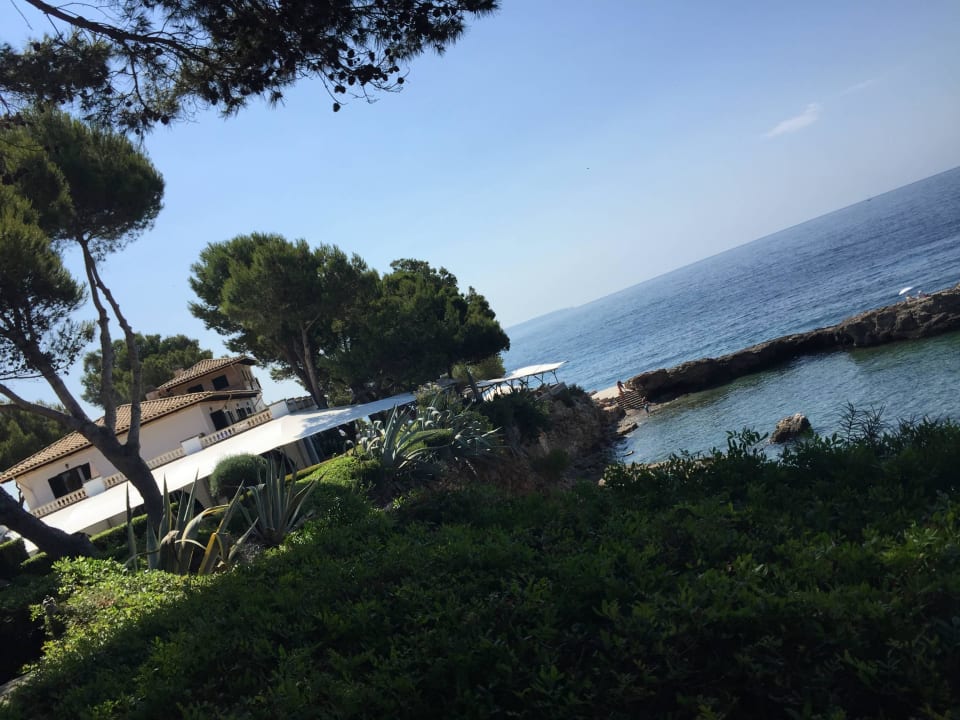 Ausblick vom Pool Hotel Bendinat