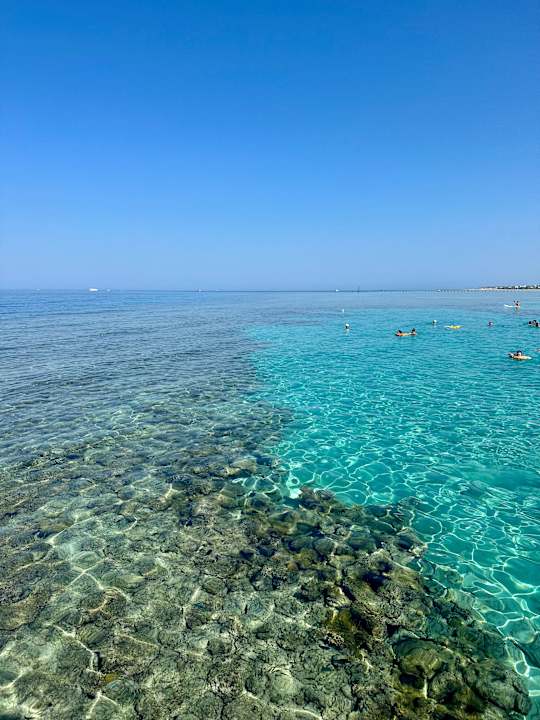 Strand JAZ Elite Asteria